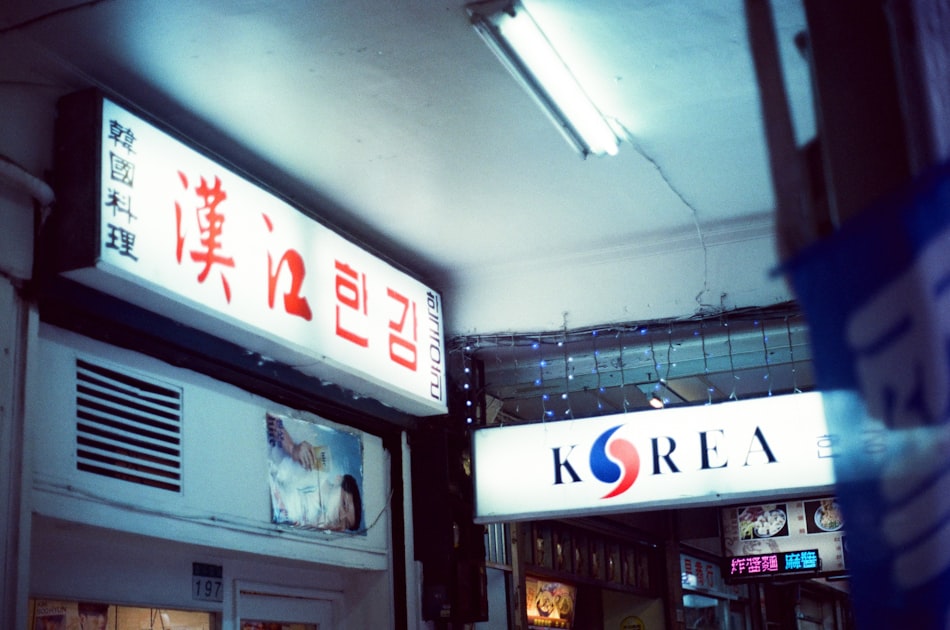 Korean Street Food: A Culinary Adventure